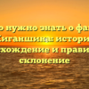 Всё, что нужно знать о фамилии Жиганшина: история, происхождение и правильное склонение