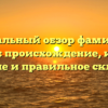 Детальный обзор фамилии Доносов: происхождение, история, значение и правильное склонение