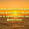 Изучаем происхождение и историю фамилии Жибоедов: значение и правильное склонение фамилии