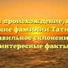 Изучаем происхождение, историю и значение фамилии Татишвили: правильное склонение и интересные факты