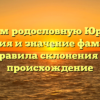 Изучаем родословную Юрковых: история и значение фамилии, правила склонения и происхождение