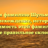 Изучаем фамилию Шульмейстер: происхождение, история и значимость этой фамилии, а также правильное склонение