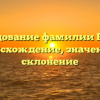 Исследование фамилии Бобита: происхождение, значения и склонение