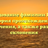 Исследование фамилии Борова: история происхождения и значения, а также разбор склонения