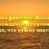 История фамилии Викинг: от происхождения до склонения — все, что нужно знать!