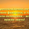 Кица: происхождение, история и значение фамилии, а также правила склонения — все, что нужно знать!