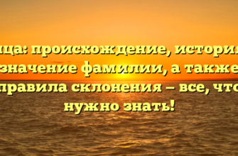 Кица: происхождение, история и значение фамилии, а также правила склонения — все, что нужно знать!