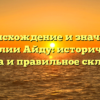 Происхождение и значение фамилии Айду: историческая справка и правильное склонение