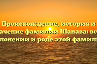 Происхождение, история и значение фамилии Шанава: все о склонении и роде этой фамилии