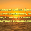 Раскрываем тайны фамилии Мафла: происхождение, история и значение, а также склонение для грамотного использования