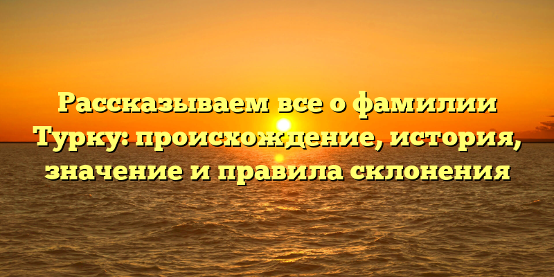 Рассказываем все о фамилии Турку: происхождение, история, значение и правила склонения