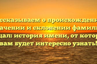 Рассказываем о происхождении, значении и склонении фамилии Кацал: история имени, от которой вам будет интересно узнать!