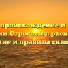 Строгое происхождение и история фамилии Строгович: раскрываем значение и правила склонения