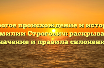 Строгое происхождение и история фамилии Строгович: раскрываем значение и правила склонения