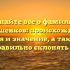 Узнайте все о фамилии Малашенков: происхождение, история и значение, а также как правильно склонять ее