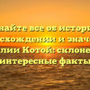 Узнайте все об истории, происхождении и значении фамилии Котой: склонение и интересные факты