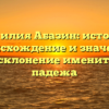 Фамилия Абазин: история, происхождение и значение, полное склонение именительного падежа