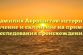 Фамилия Абрашитов: история, значение и склонение на примере исследования происхождения.