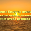 Фамилия Бицуля: исследуем происхождение, значение и склонение этого редкого имени