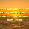 Фамилия Блиадзе — история, происхождение и значение: полный гид по склонению фамилии