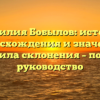 Фамилия Бобылов: история происхождения и значения, правила склонения – полное руководство