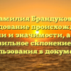 Фамилия Брандукова: исследование происхождения, истории и значимости, а также правильное склонение для использования в документах