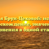 Фамилия Брун-Цеховой: исследуем происхождение, значения и склонения в одной статье.