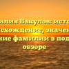 Фамилия Вакулов: история, происхождение, значение и склонение фамилии в подробном обзоре