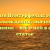 Фамилия Винтерфельд: история происхождения, значение и склонение — всё о ней в одной статье