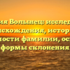 Фамилия Волынец: исследование происхождения, истории и значимости фамилии, основные формы склонения