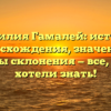 Фамилия Гамалей: история происхождения, значения и способы склонения — все, что вы хотели знать!