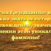 Фамилия Гогиашвили: все, что нужно знать об истории, происхождении, значении и склонении этой уникальной фамилии!