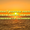 Фамилия Гринина: исследуем происхождение, значение и особенности склонения