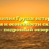 Фамилия Груша: история, значения и особенности склонения – подробный обзор