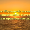 Фамилия Жерновой: исследуем её происхождение, историю, значение и правильное склонение