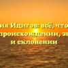 Фамилия Идигов: всё, что нужно знать о происхождении, значении и склонении