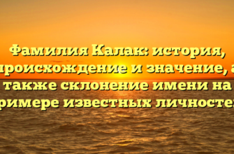 Фамилия Калак: история, происхождение и значение, а также склонение имени на примере известных личностей.