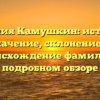 Фамилия Камушкин: история и значение, склонение и происхождение фамилии в подробном обзоре