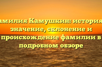 Фамилия Камушкин: история и значение, склонение и происхождение фамилии в подробном обзоре