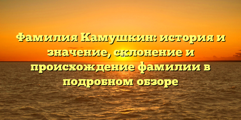 Фамилия Камушкин: история и значение, склонение и происхождение фамилии в подробном обзоре