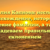 Фамилия Капнова: исследуем происхождение, историю и значение фамилии, а также овладеваем правильным склонением