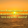 Фамилия Карканица: история, происхождение и склонение — все, что нужно знать!