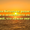 Фамилия Котельва: родословная, значение и особенности склонения — всё, что нужно знать