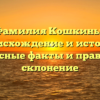 Фамилия Кошкины: происхождение и история, интересные факты и правильное склонение