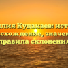 Фамилия Кудакаев: история, происхождение, значение и правила склонения