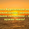 Фамилия Курносиков: история происхождения, значение и правильное склонение — все, что нужно знать!