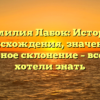 Фамилия Лабок: История происхождения, значение и правильное склонение – все, что вы хотели знать