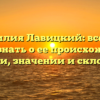 Фамилия Лавицкий: все, что нужно знать о ее происхождении, истории, значении и склонении.