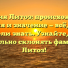 Фамилия Литоз: происхождение, история и значение — всё, что вы хотели знать. Узнайте, как правильно склонять фамилию Литоз!
