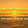 Фамилия Маглей: происхождение, возникновение, значение и грамматические особенности – все, что вам нужно знать!